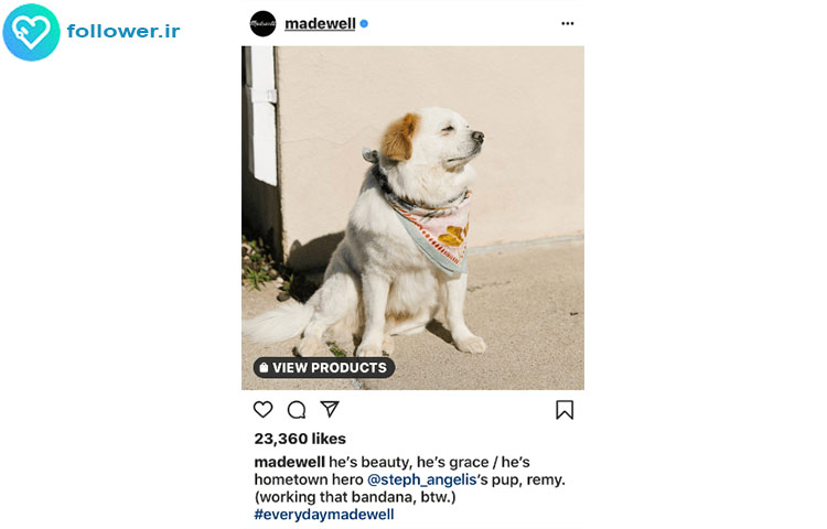 ارسال تصاویر همراه با حیوانات خانگی در محتوای اینستاگرام